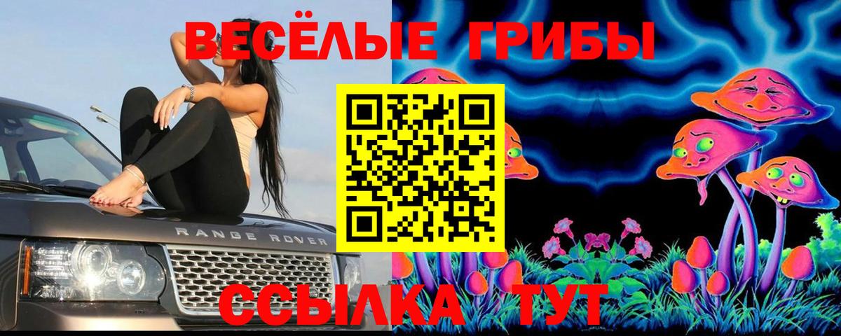 Галлюциногенные грибы Magic Shrooms Кимры